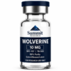 ChatGPT-Image-Aug-26-2026-11_33_10-AM.webp Wolverine